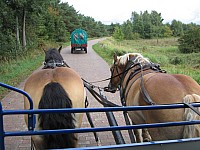 Ostsee_2013_104.jpg