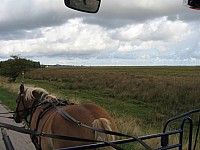 Ostsee_2013_108.jpg