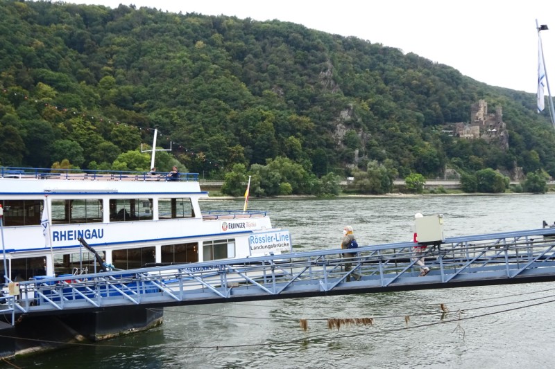 Zi-Rh25.jpg