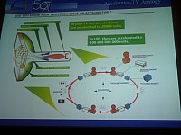 CERN_08.jpg